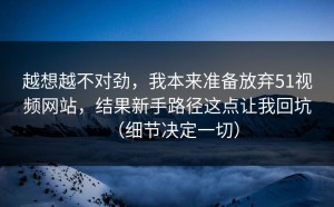 越想越不对劲，我本来准备放弃51视频网站，结果新手路径这点让我回坑（细节决定一切）
