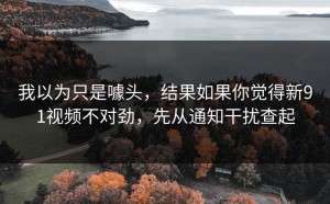 我以为只是噱头，结果如果你觉得新91视频不对劲，先从通知干扰查起